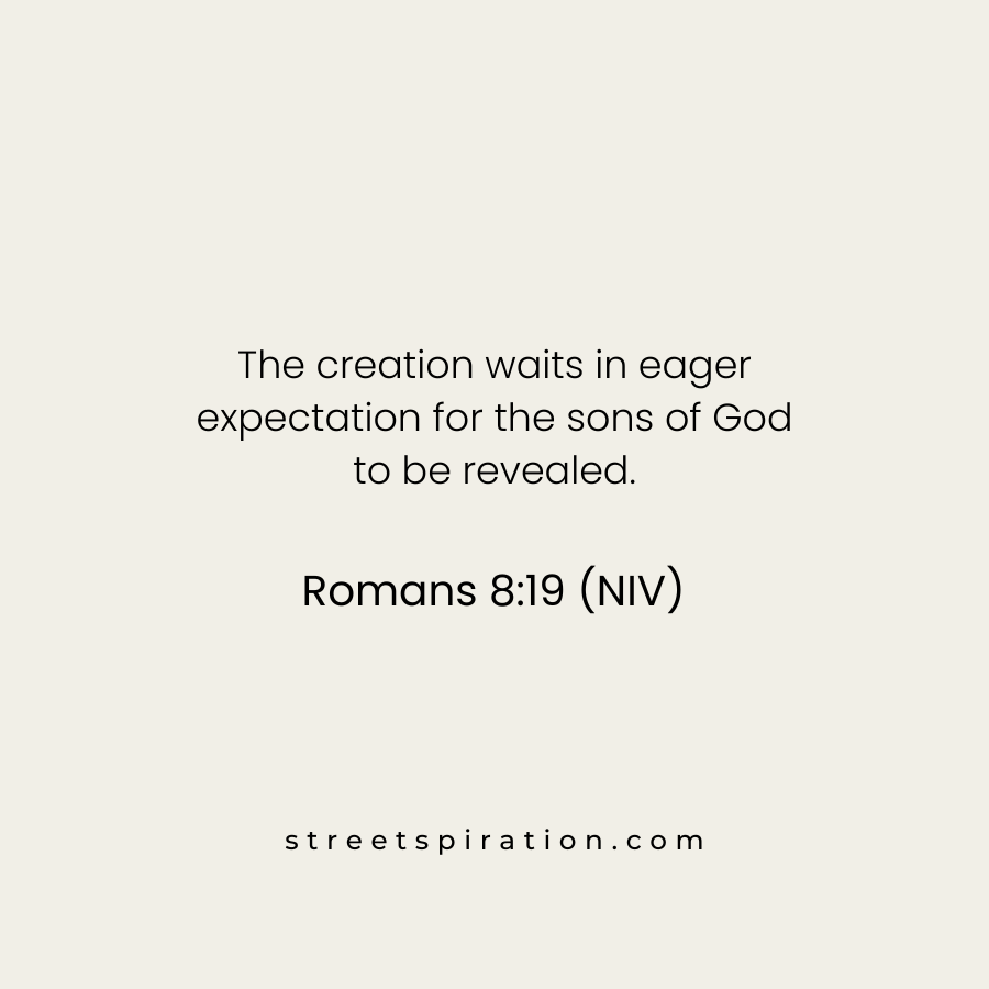 Romans 819 quotes on Purpose